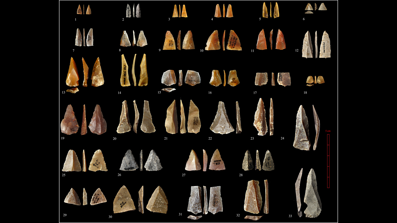 Restes trobades a la gruta de Mandrin (França)