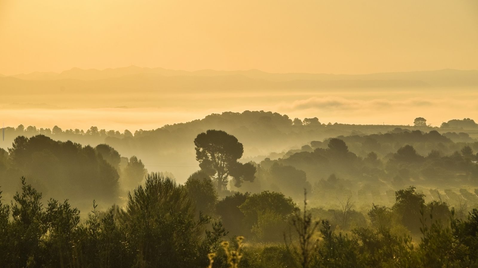 L'Olleria, la Vall d'Albaida