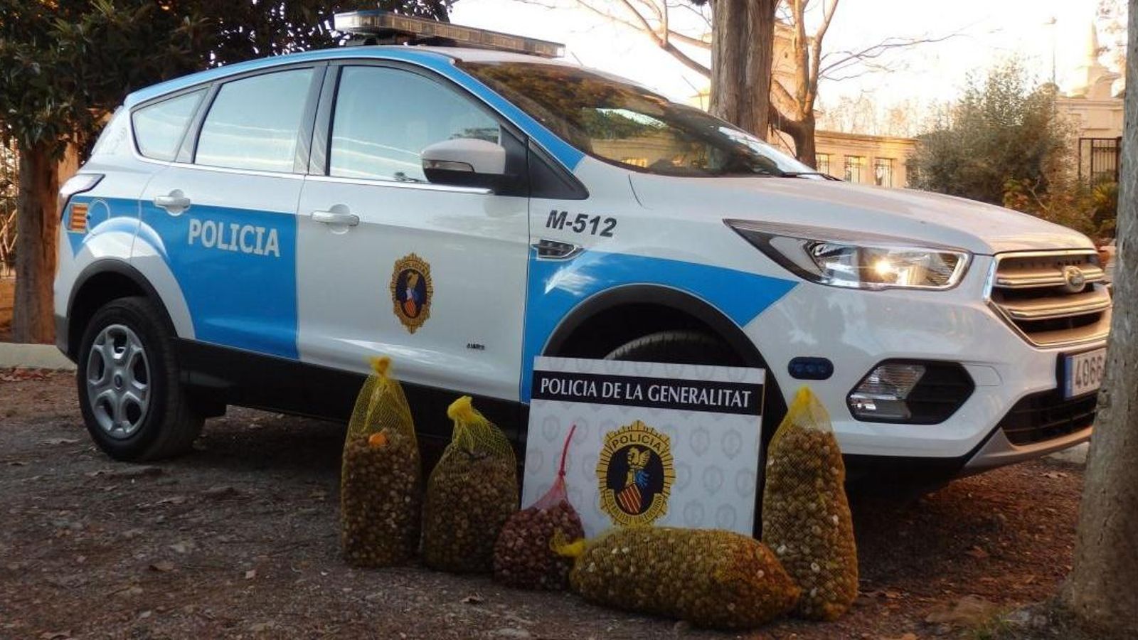 Els agents han trobat cinc malles plenes de caragols