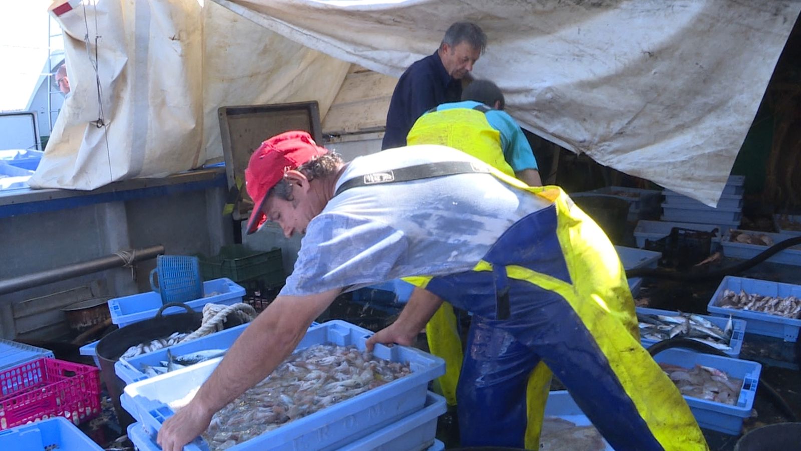 Els pescadors de la Vila Joiosa, en peu de guerra