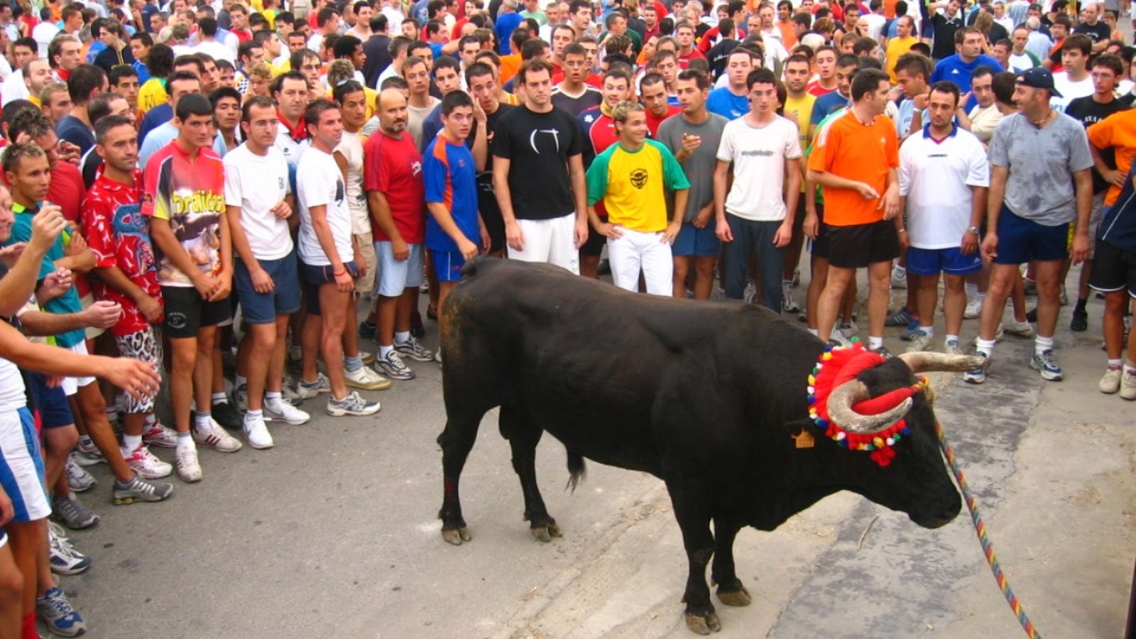 Torico de la Cuerda de Xiva