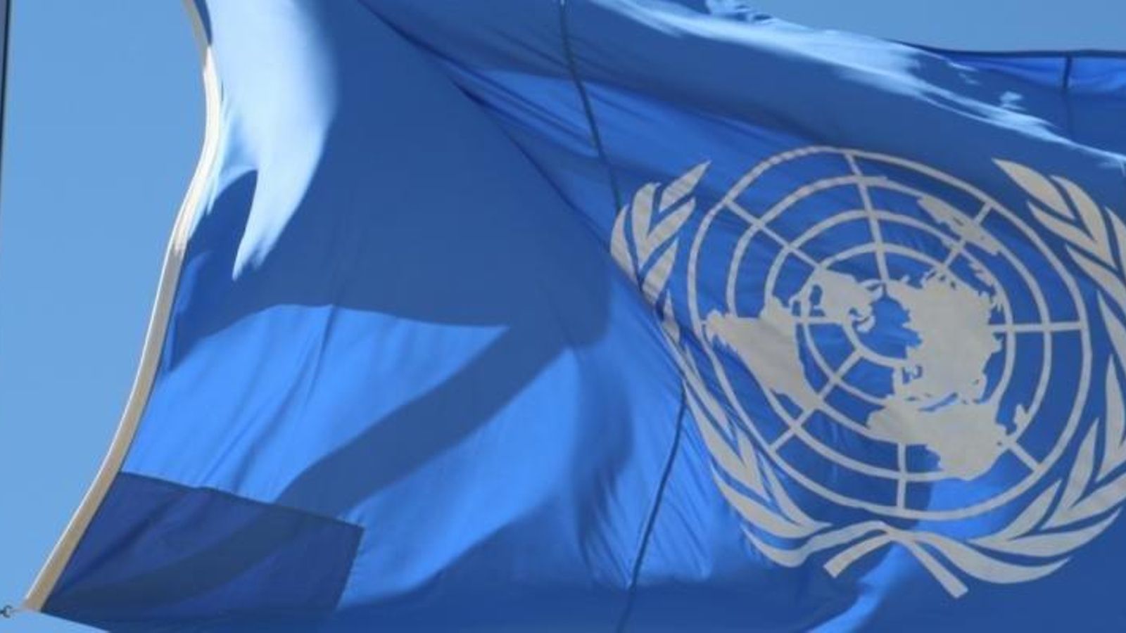 Bandera de l'Organització de Nacions Unides