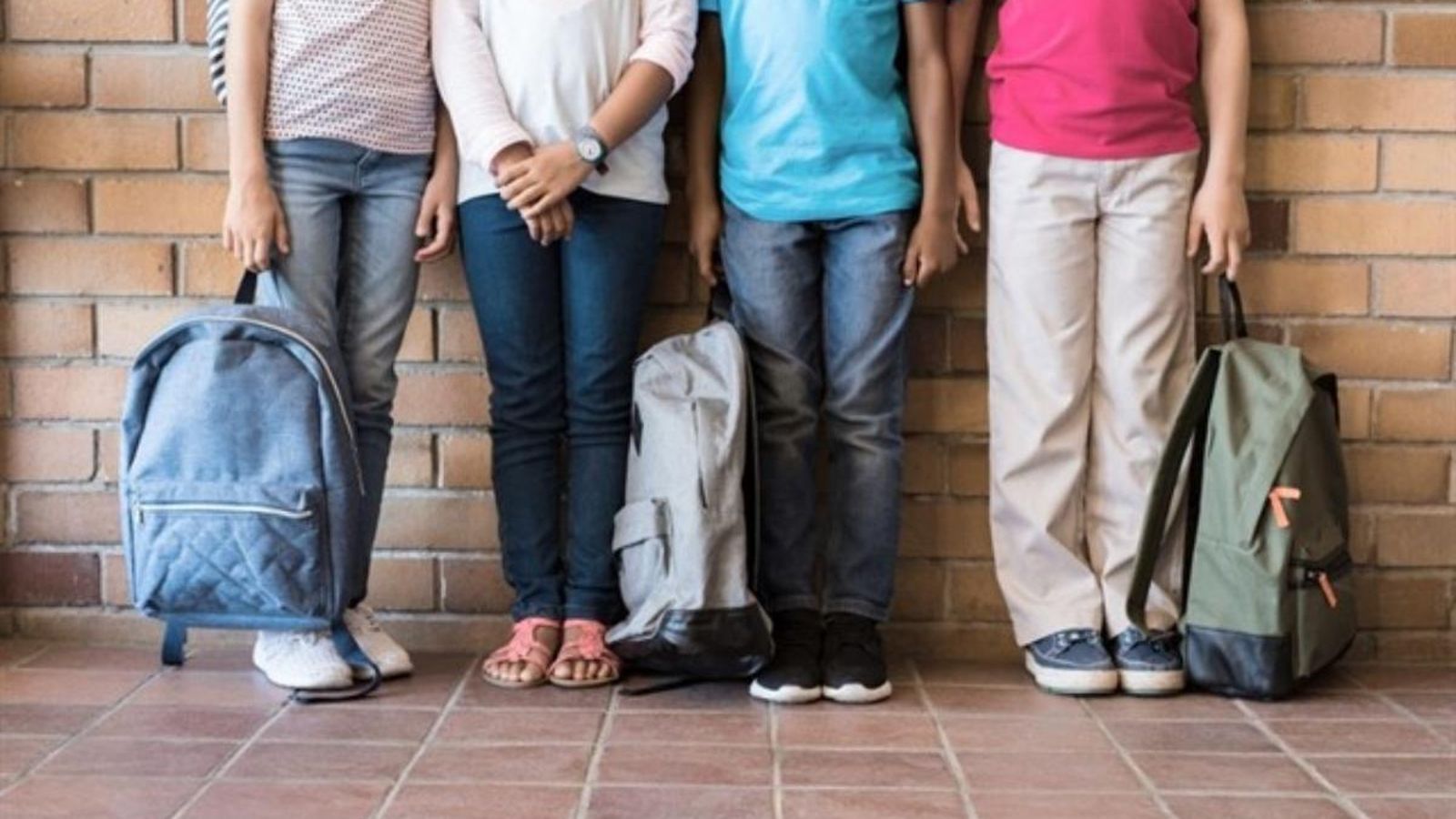 La sostenibilitat, l\'escola inclusiva i el plurilingüisme, principals línies pedagògiques del curs 2019-2020