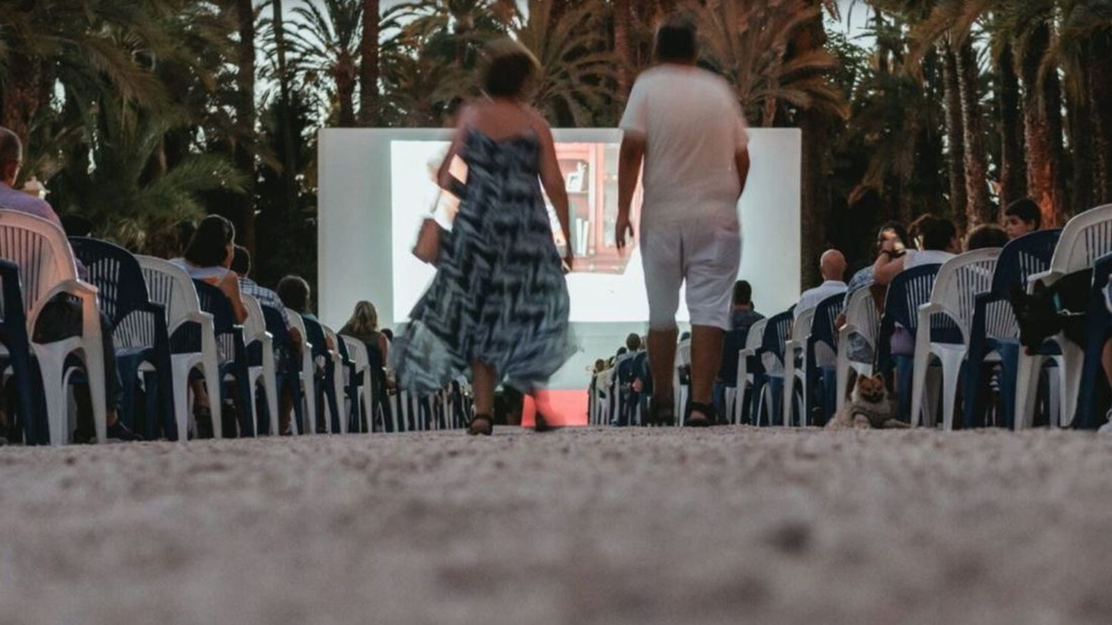 Imatge d'arxiu del Festival Internacional de Cine Independent d'Elx