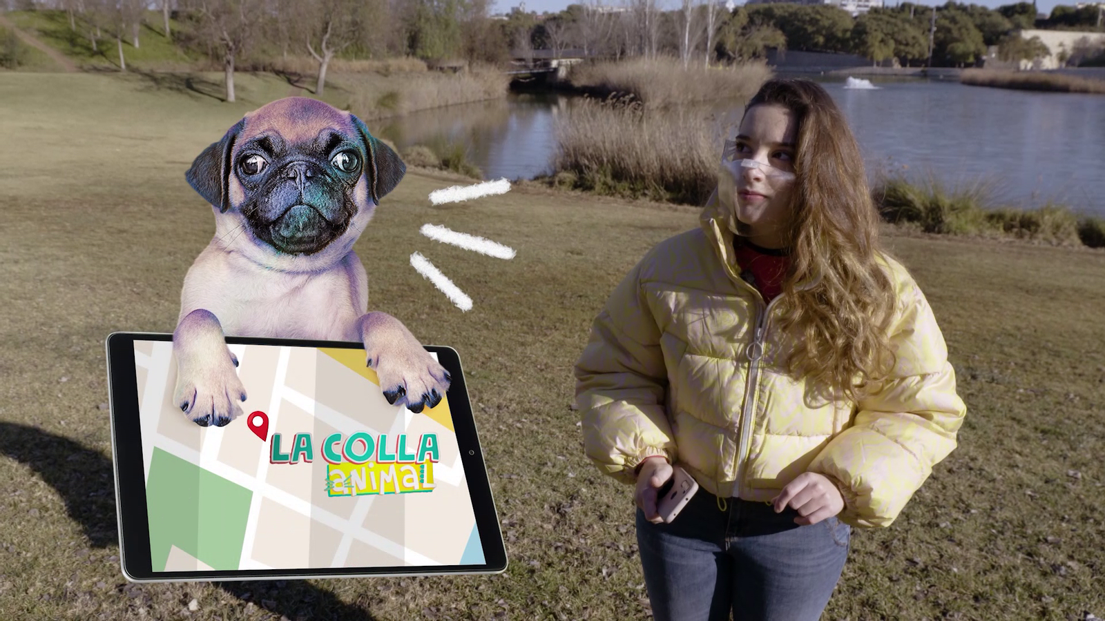 La Colla Animal | On estic?