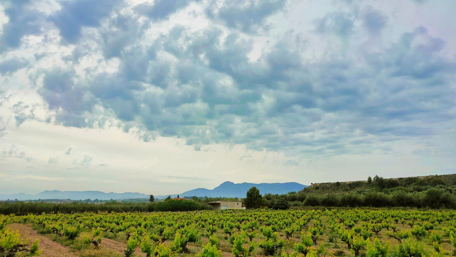 MONTAVERNER, LA VALL D'ALBAIDA