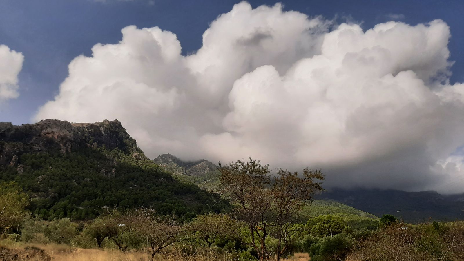 PIC NEGRE I EL MONTCABRER