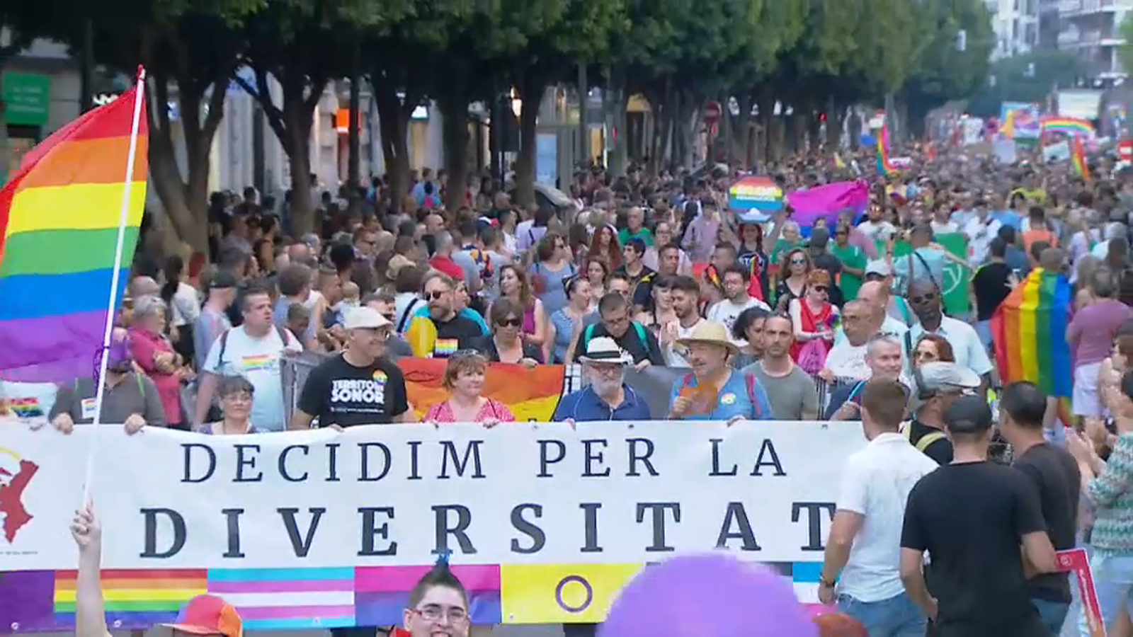 Ciutadans denuncia \"atacs\" contra la seua comitiva en l\'Orgull de València