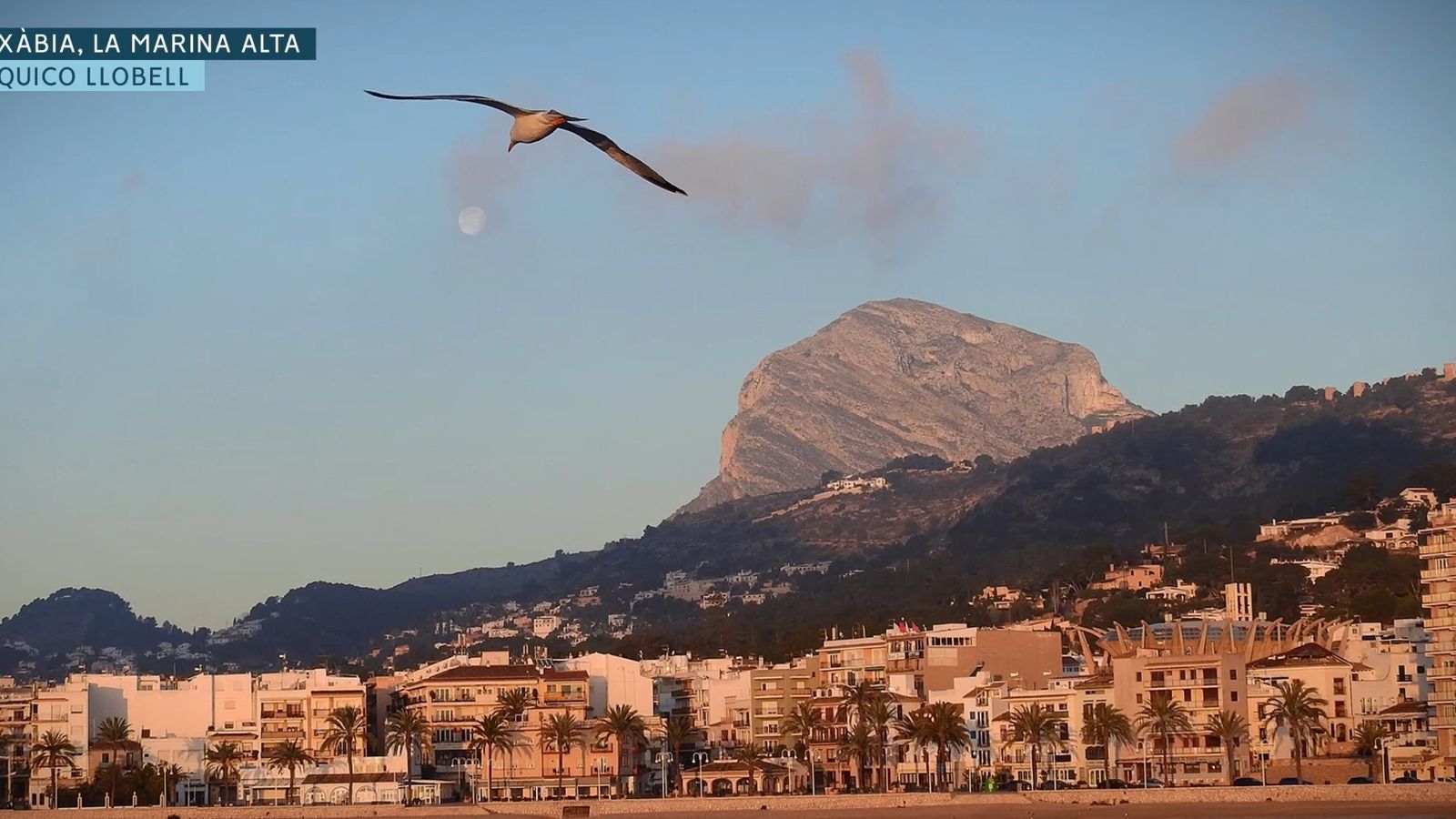 18 de febrer i 29 °C a Xàtiva