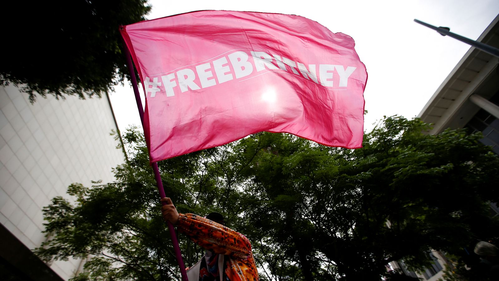 Manifestació en defensa de la llibertat de Britney Spears