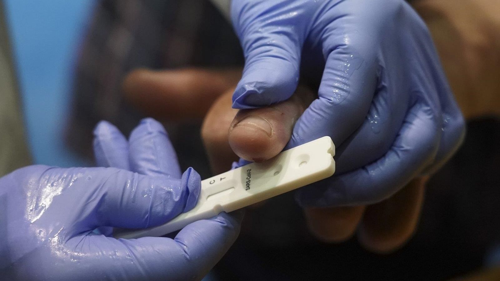 La Generalitat desautoritza la realització de les proves PCR al professorat dels centres de Torrevella