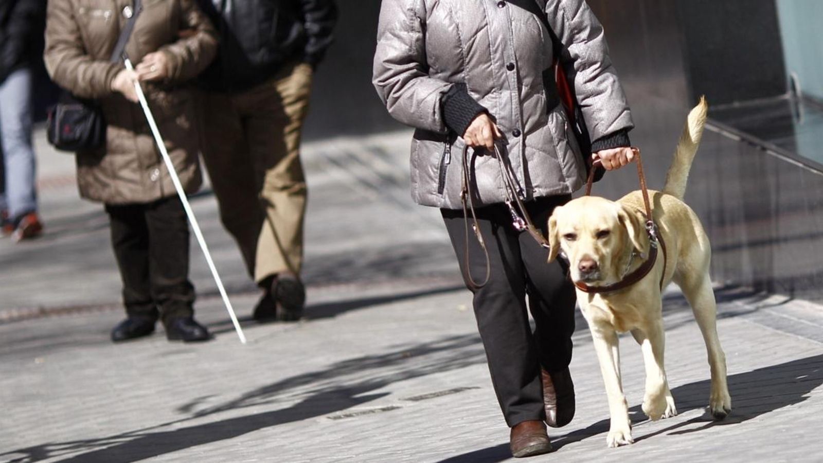 L'indicador de discapacitat inclourà tant les dones com els menors d'edat que pateixen aquest tipus d'agressions