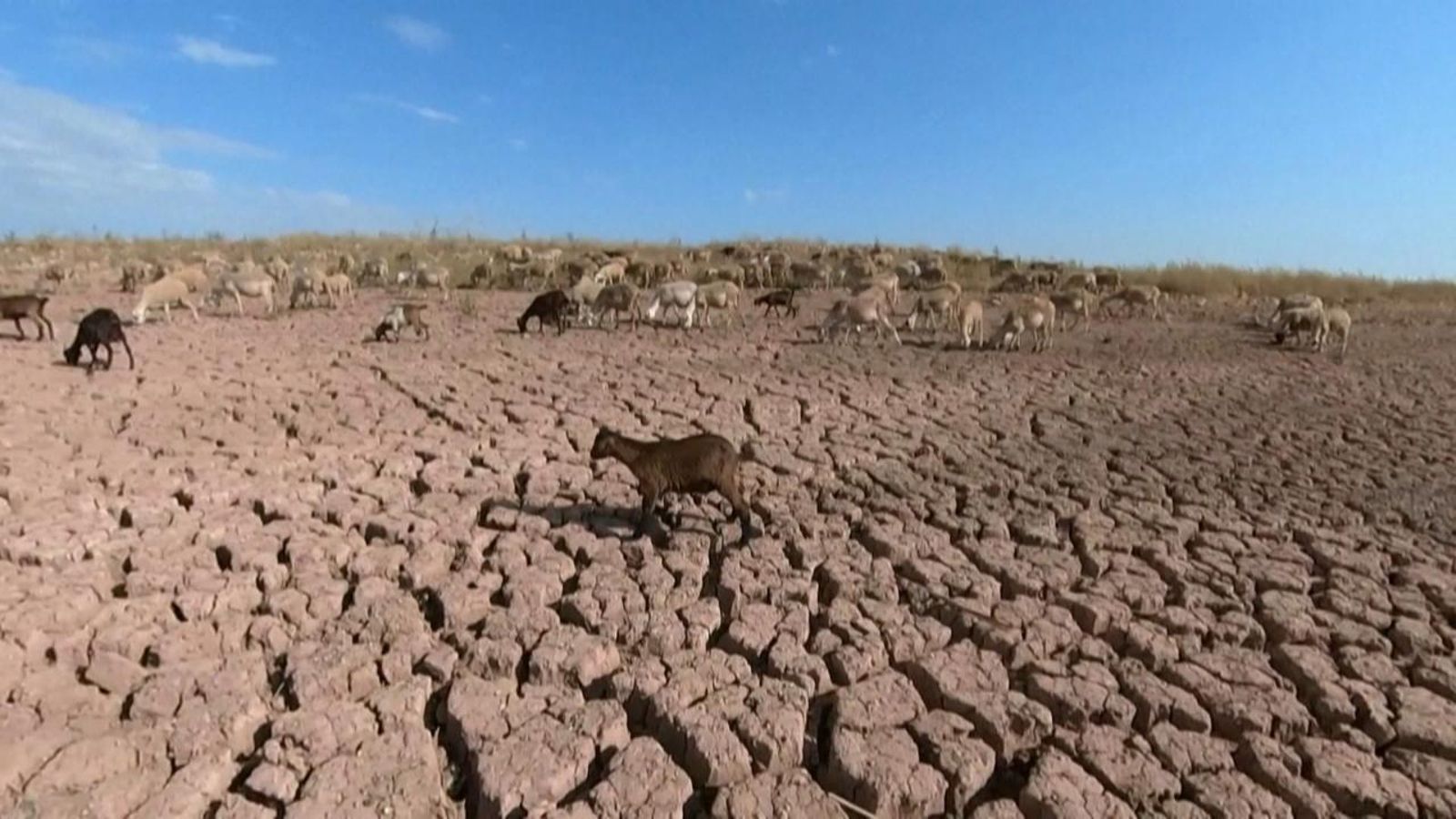 Els esdeveniments climàtics extrems que amenacen la vida són cada vegada més freqüents