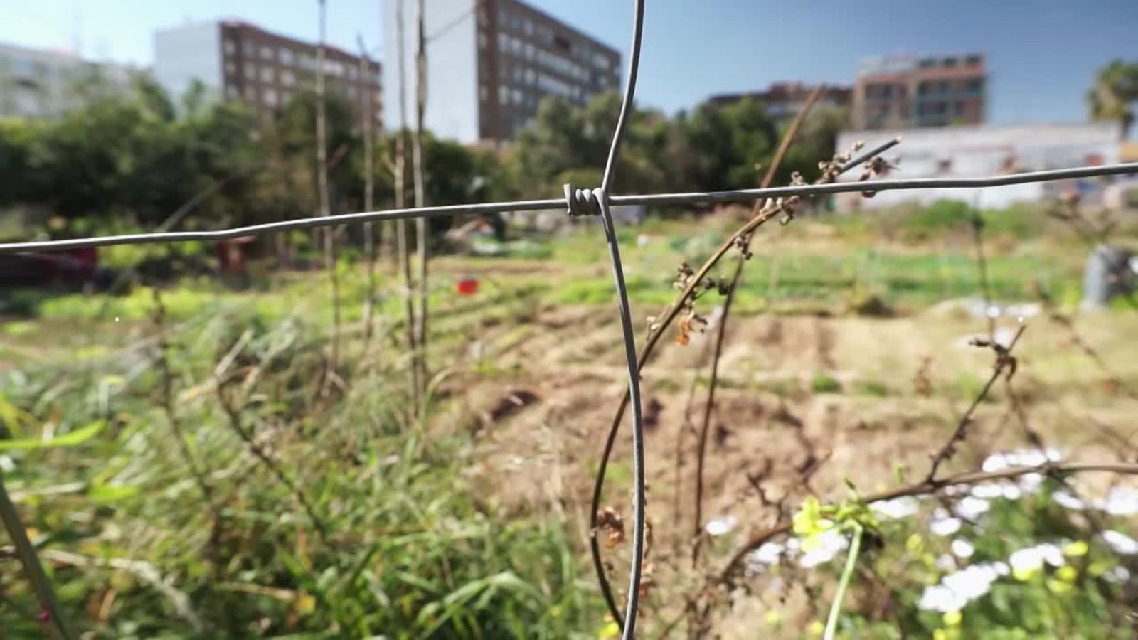 25.08.2019 | Favorits | Optimus garden