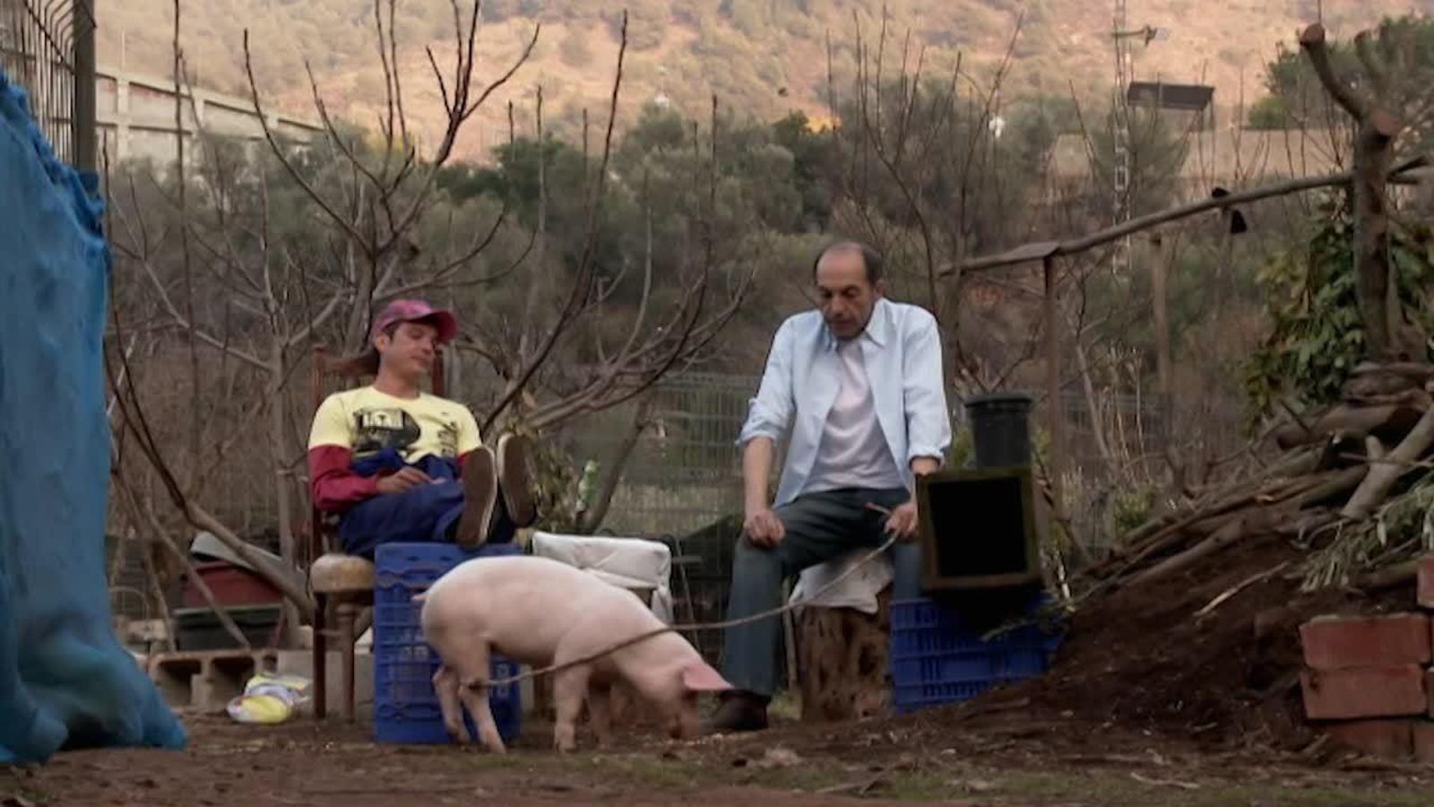 Capítol 13: D’haques, porcs i més bèsties