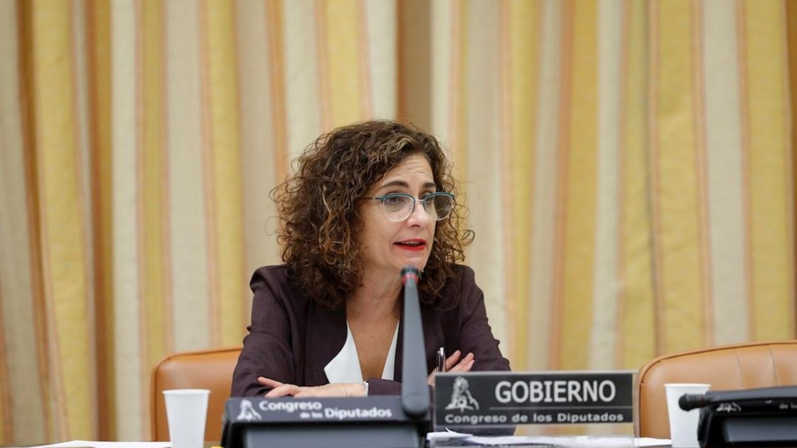 María Jesús Montero, hoy en el Congreso.| Emilio Naranjo (EFE)