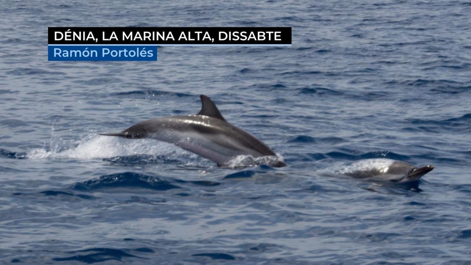 Imatges del cap de setmana