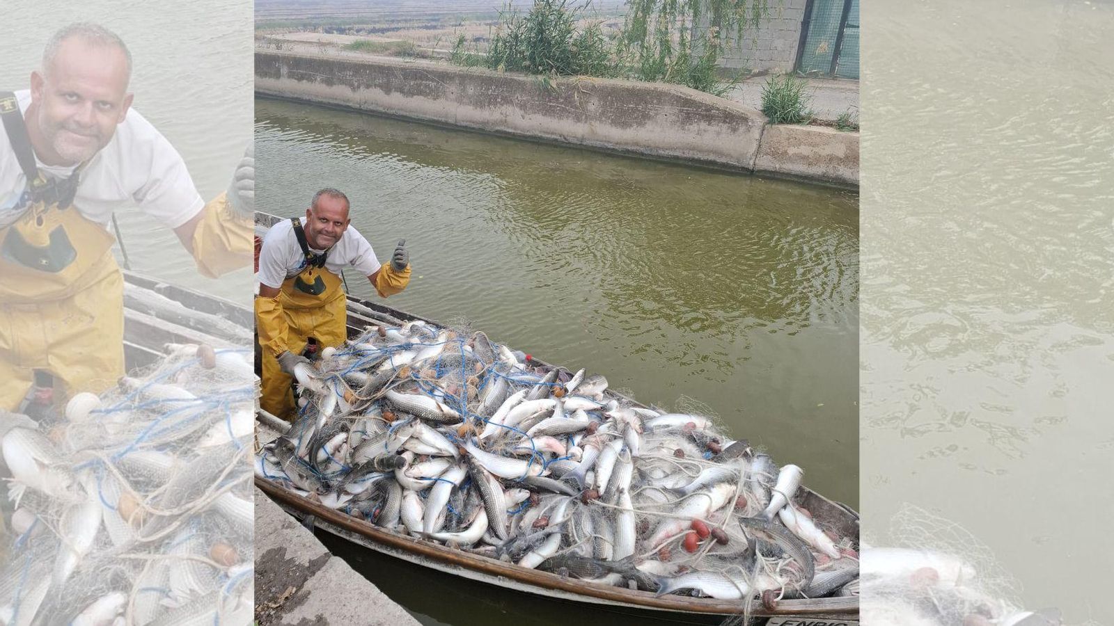 Nelo, el pescador de la pluja peixos a l'Albufera