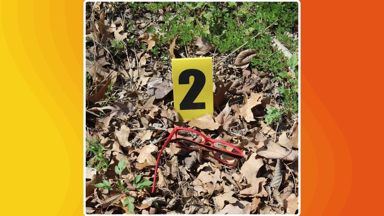 25.02.2026 | "True crime", amb Javier Martínez | Reconstruïm el cas sense resoldre de Paqui Hernández, desapareguda fa 22 anys a Mislata