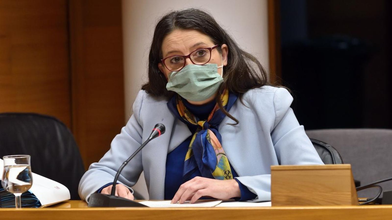 La consellera d'Igualtat durant la compareixença que ha oferit aquest dimecres a les Corts per a explicar la situació de les residències