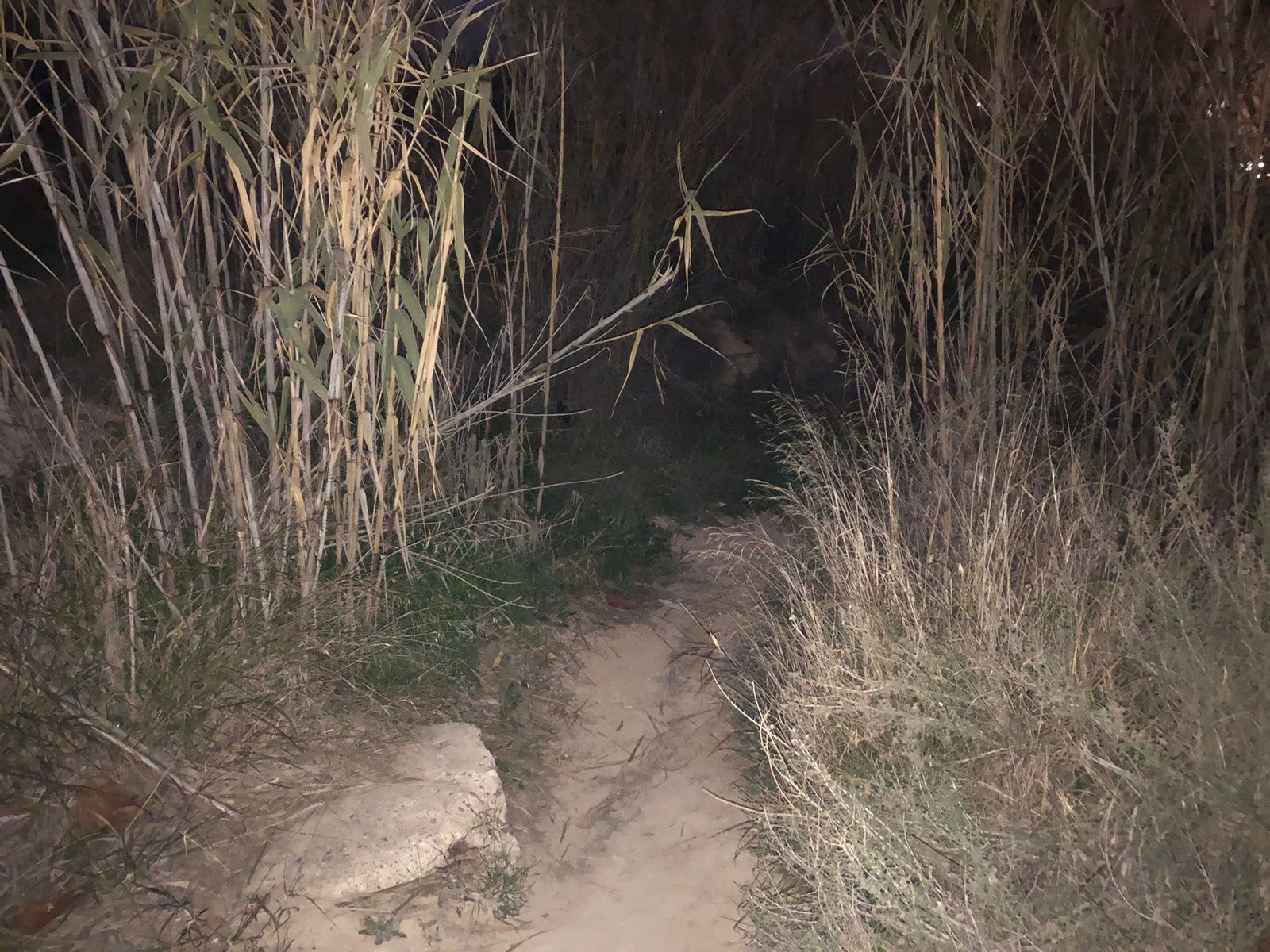 Imatge del lloc on s'han trobat els cossos