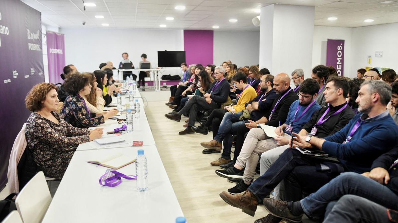 Consell Estatal Ciutadà de Podem