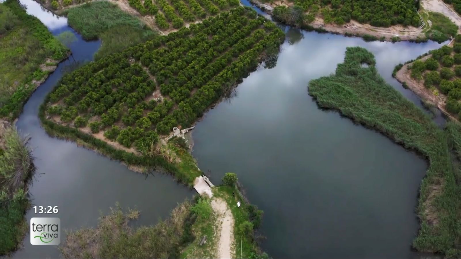 El sender blau de la Ruta dels Sentits de Tavernes de la Valldigna en 'Terra viva'