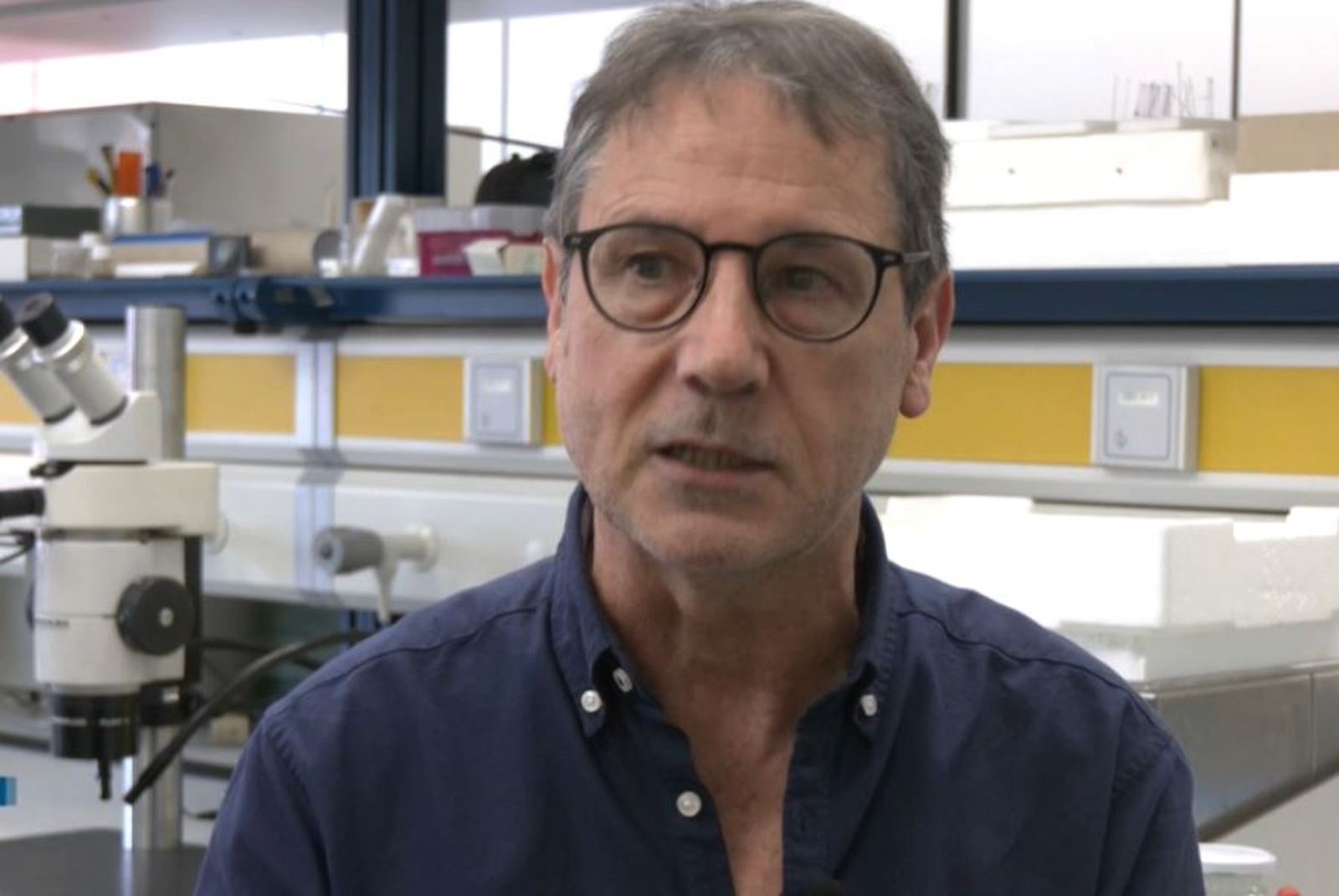 El doctor en Entomologia i Control de Plagues de la Universitat de València, Vicent Falcó