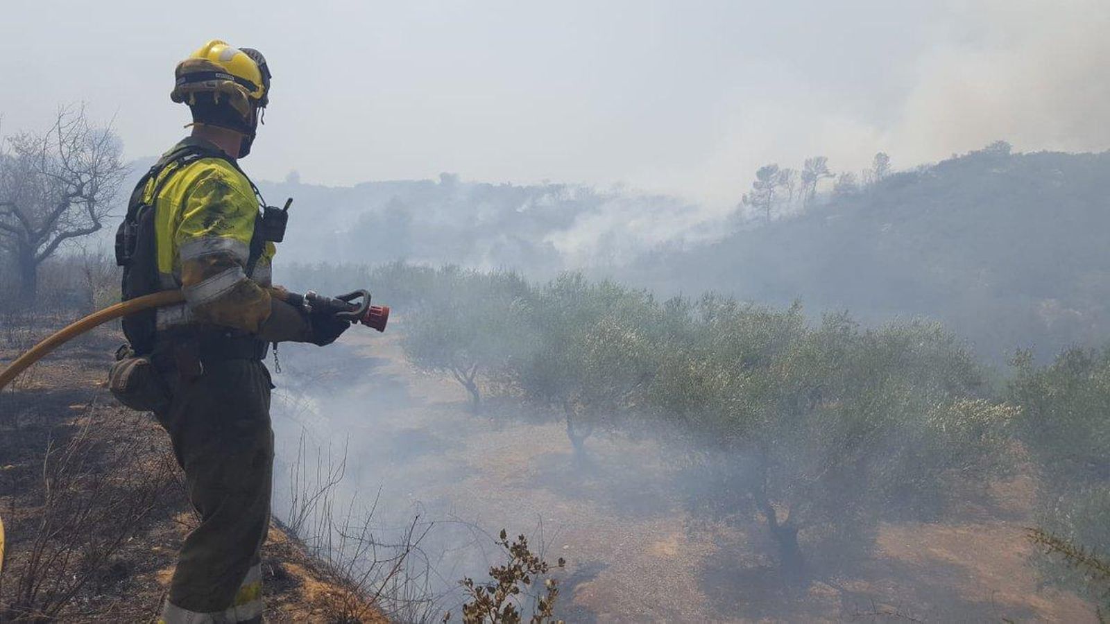 Efectius terrestres treballen en l'extinció de l'incendi de Llutxent