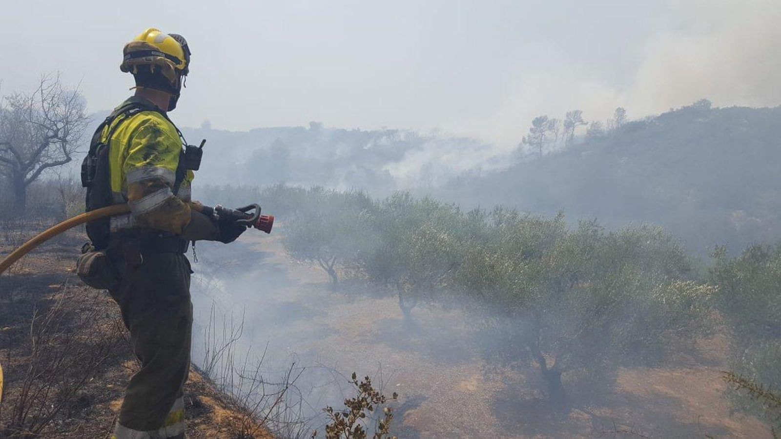 Efectius terrestres treballen en l'extinció de l'incendi de Llutxent Efectius terrestres treballen en l'extinció de l'incendi de Llutxent