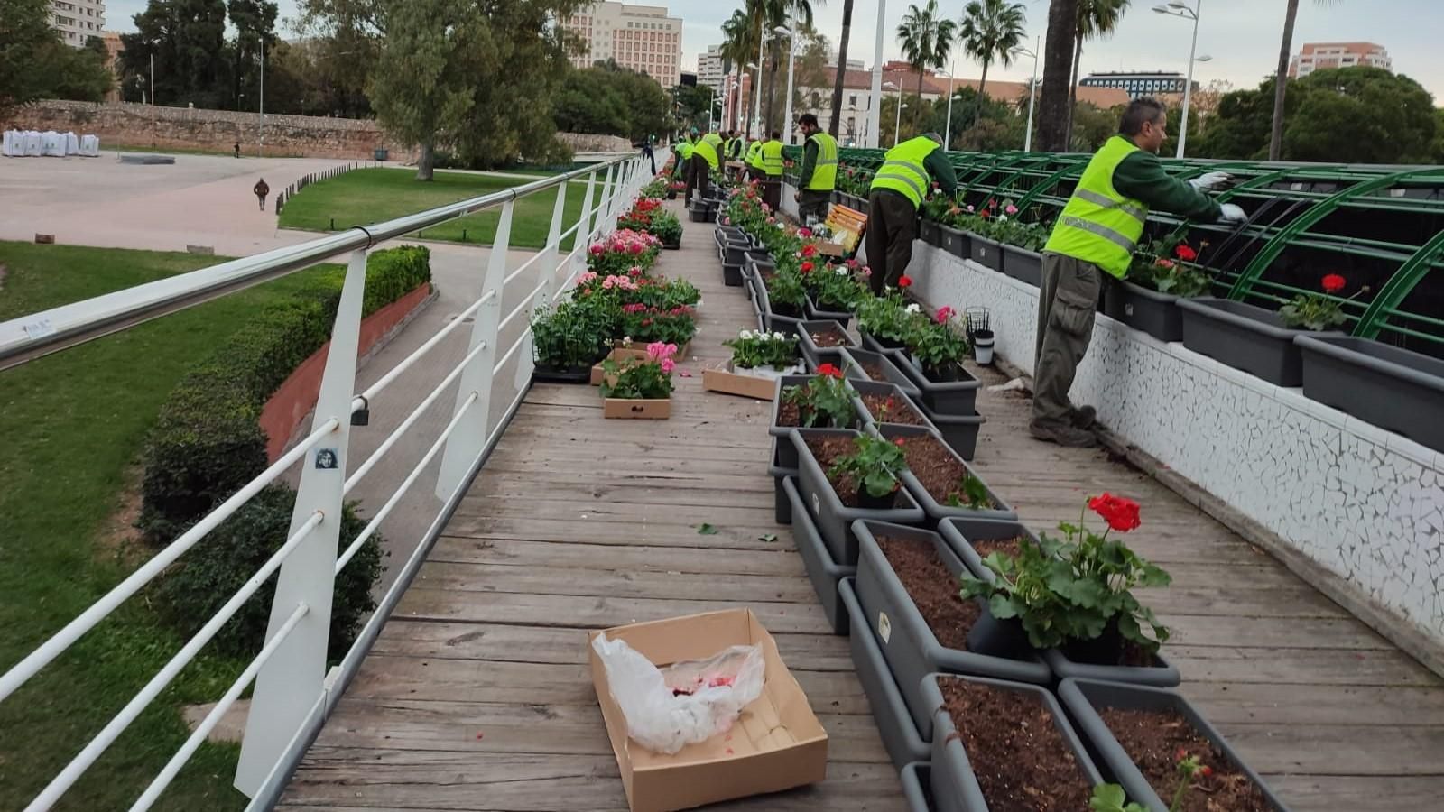 Personal de l'Ajuntament de València treballa en el pont de les Flors, aquest dimarts