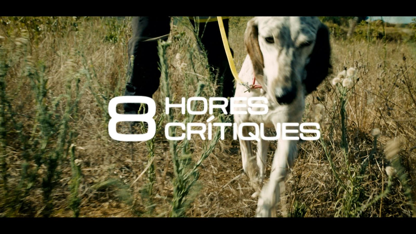 8 hores crítiques