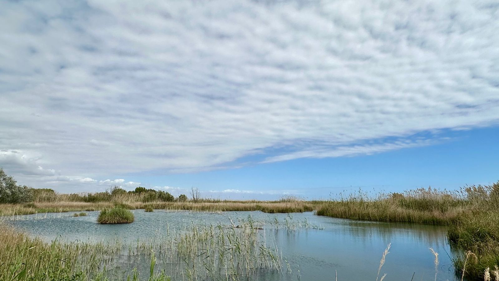 SUECA, LA RIBERA BAIXA