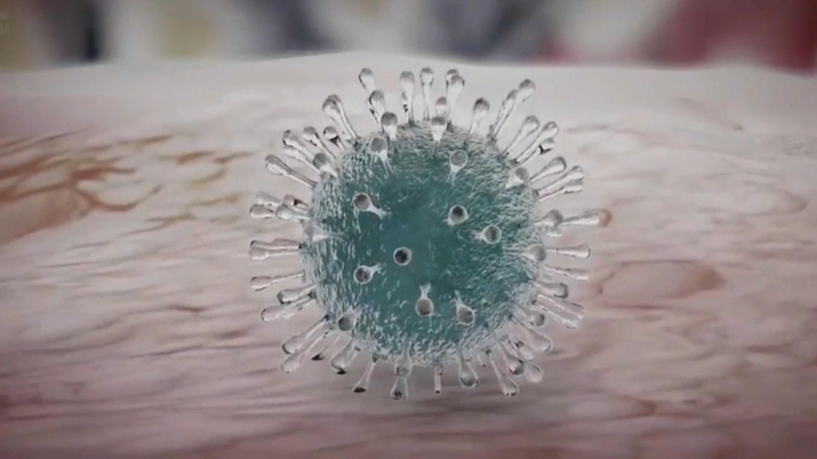 Quins són els símptomes de la Covid-19?