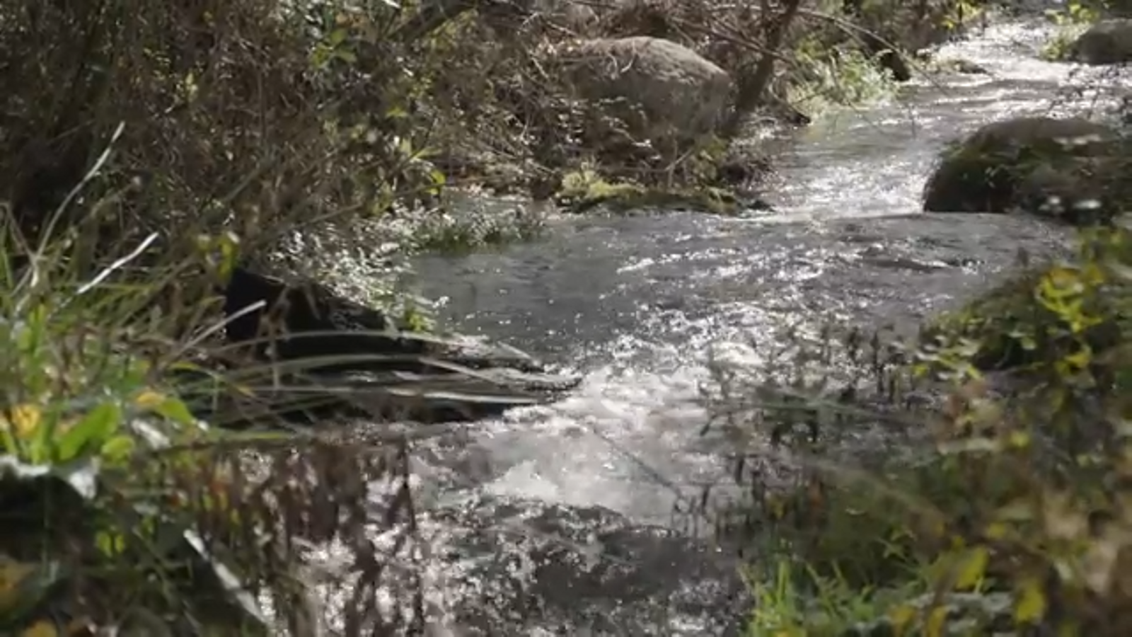 28.08.2023 | Terra Viva