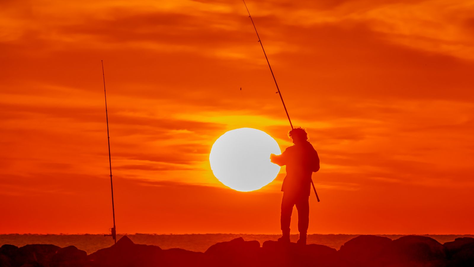 ALBORAIA, L'HORTA NORD