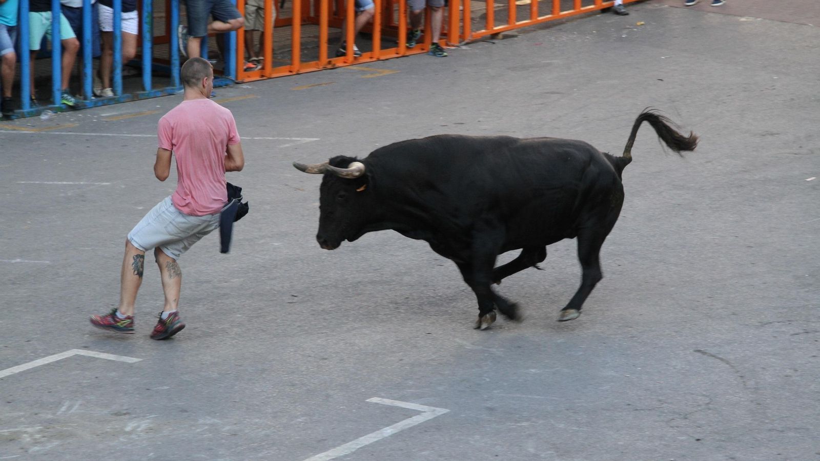 Bous al carrer a Vilafamés Bous al carrer a Vilafamés