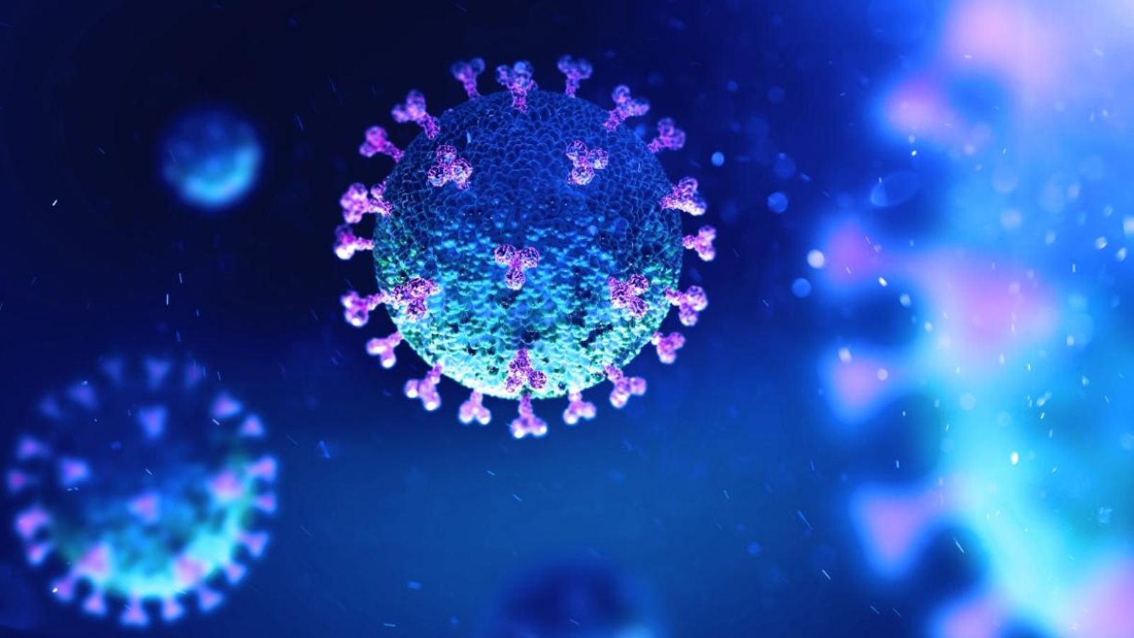 Il·lustració d'un coronavirus