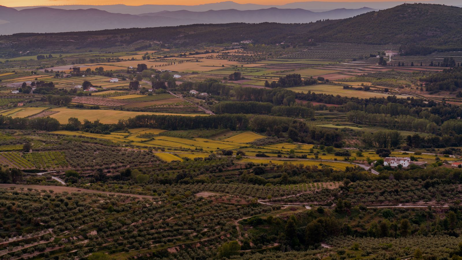 Vista aèria de camps agrícoles a Alacant