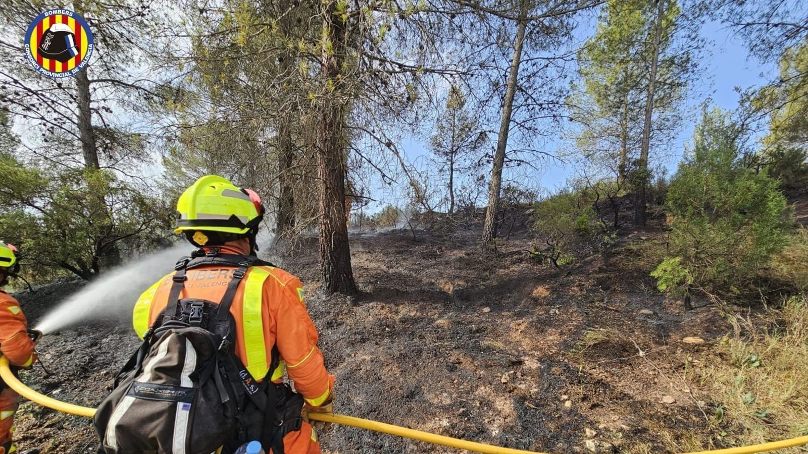 Imatge d'arxiu d'un bomber treballant en un incendi forestal