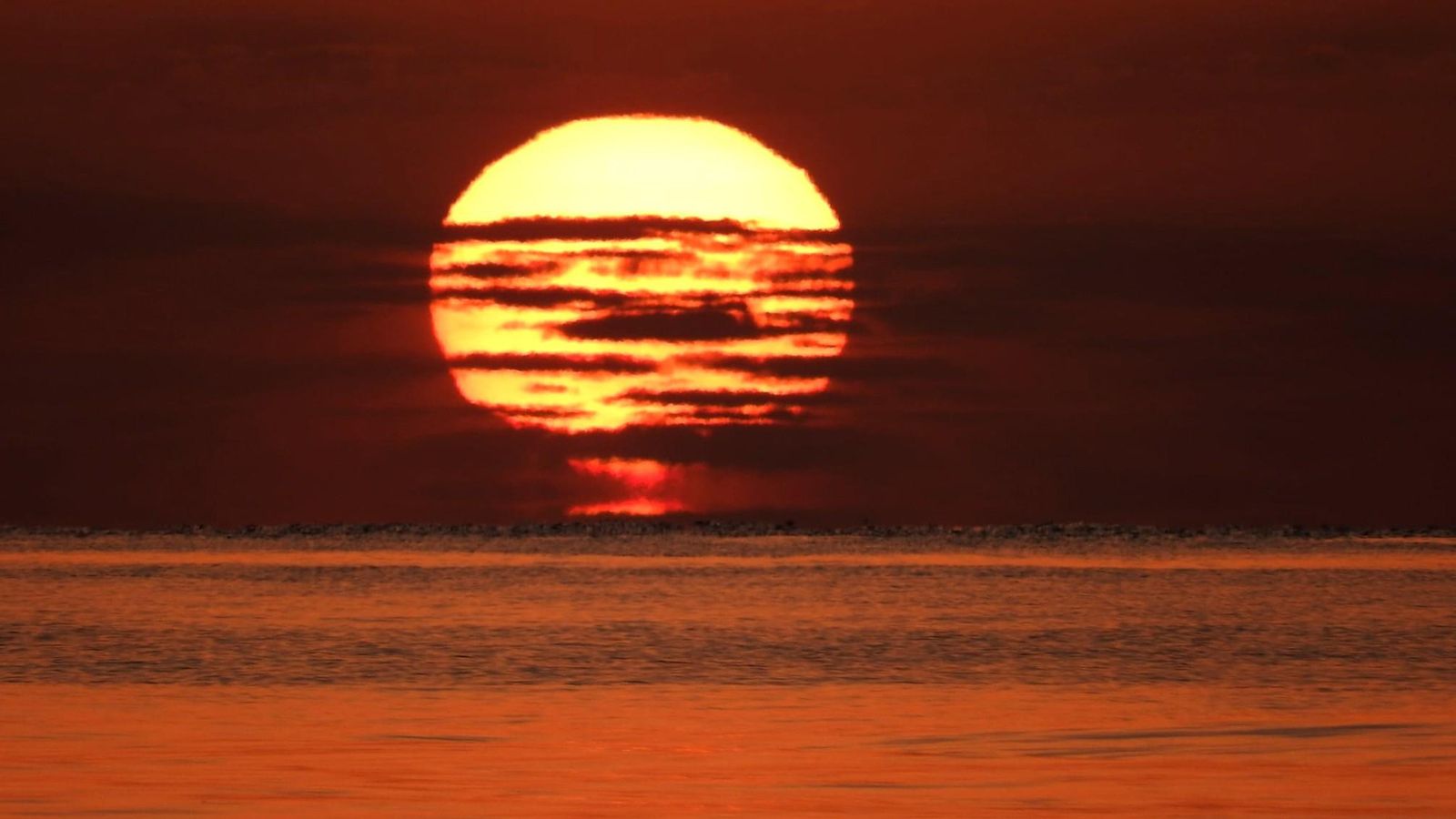 1.MARENY DE BARRAQUETES, SUECA, ARTURO PART