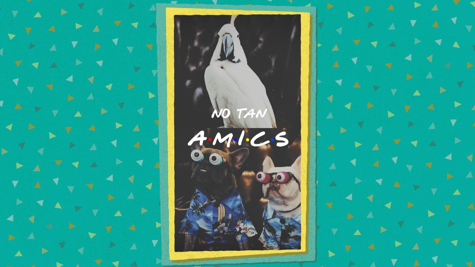 La Colla Virals - Amics sense humor