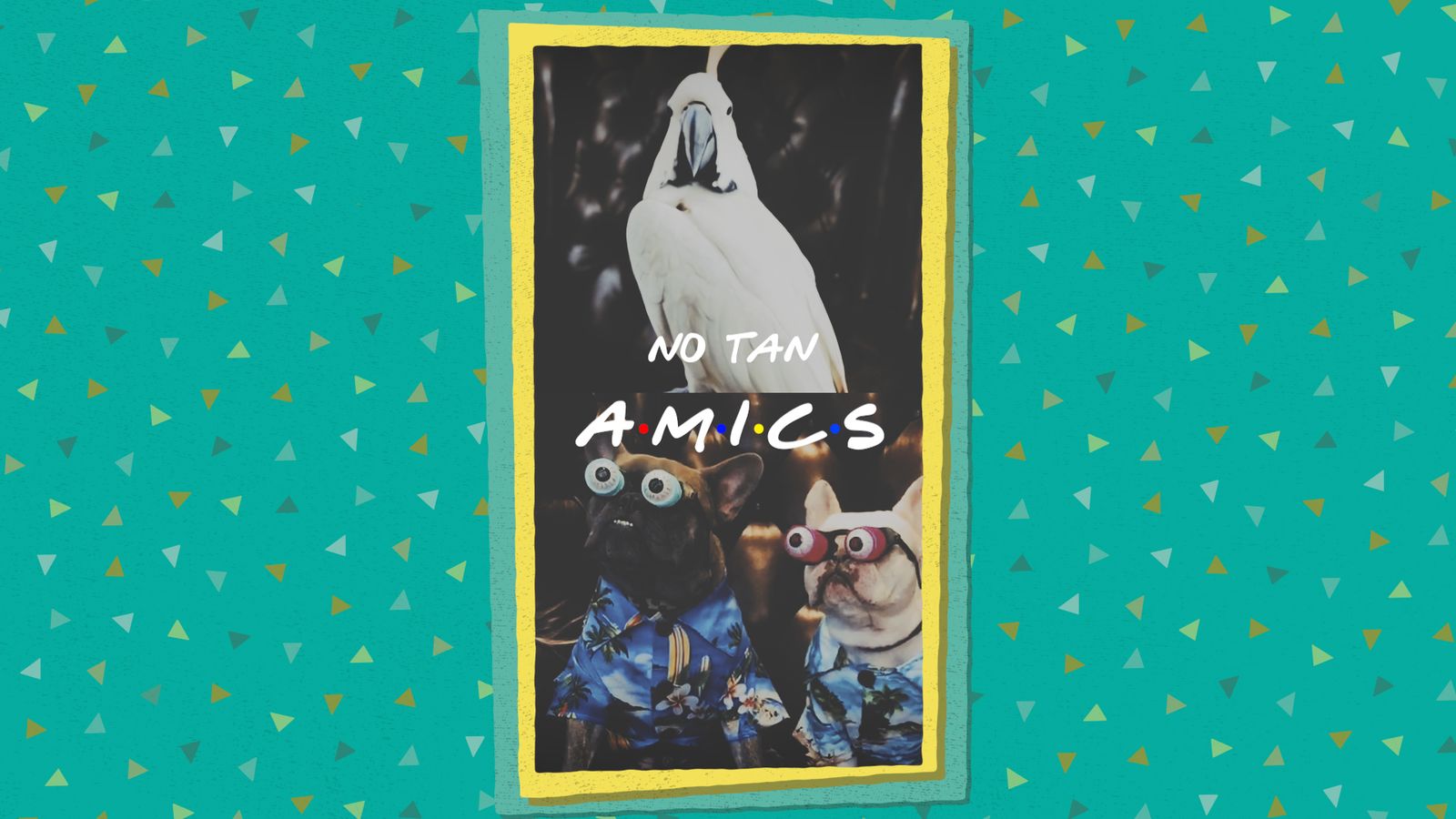 La Colla Virals - Amics sense humor