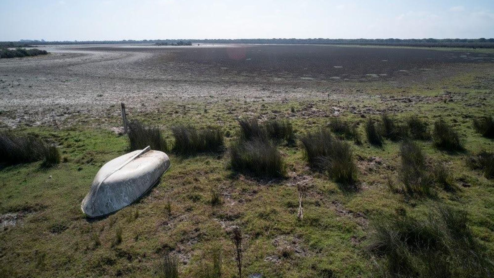 Una imatge d'arxiu de Doñana Una imatge d'arxiu de Doñana