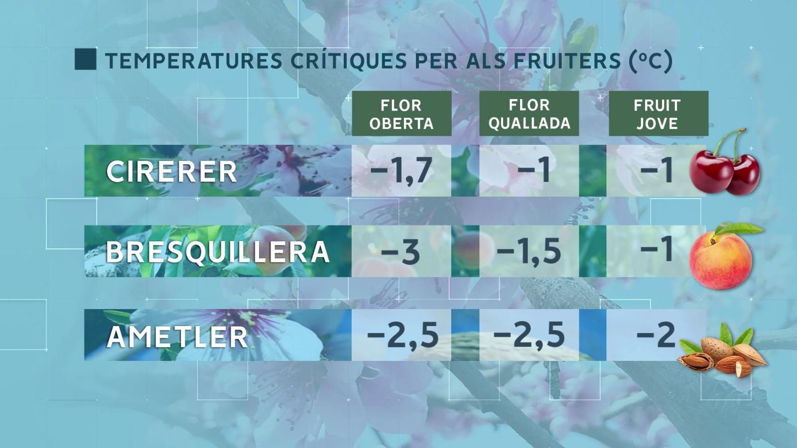 Temperatures per davall de zero poden acabar amb la collita que comença a nàixer en alguns cultius del territori