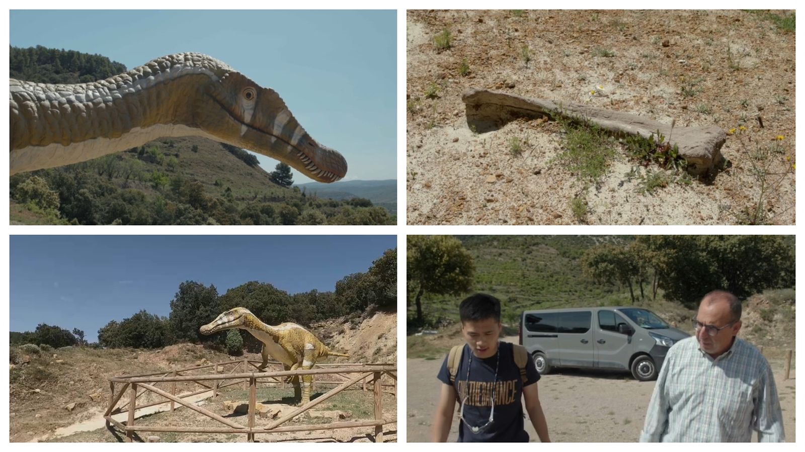 La comarca dels Ports és un dels llocs més rellevants pel que fa a la localització de restes de fauna del Cretaci Inferior