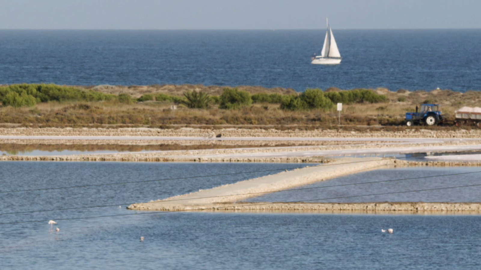 "Comarquem" amb Javi Miró el Baix Vinalopó