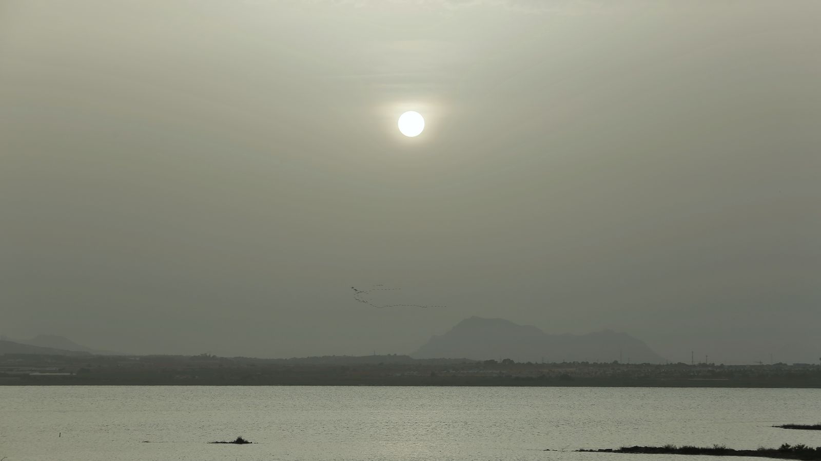 8.TORREVELLA TORREVIEJA, EL BAIX SEGURA, JOAQUÍN CARRIÓN