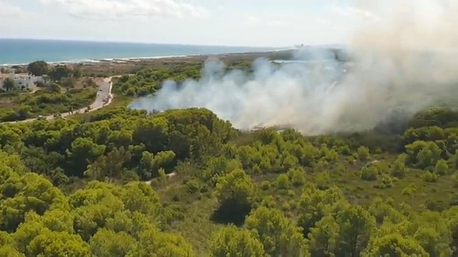 Incendi al Saler (l'Horta)