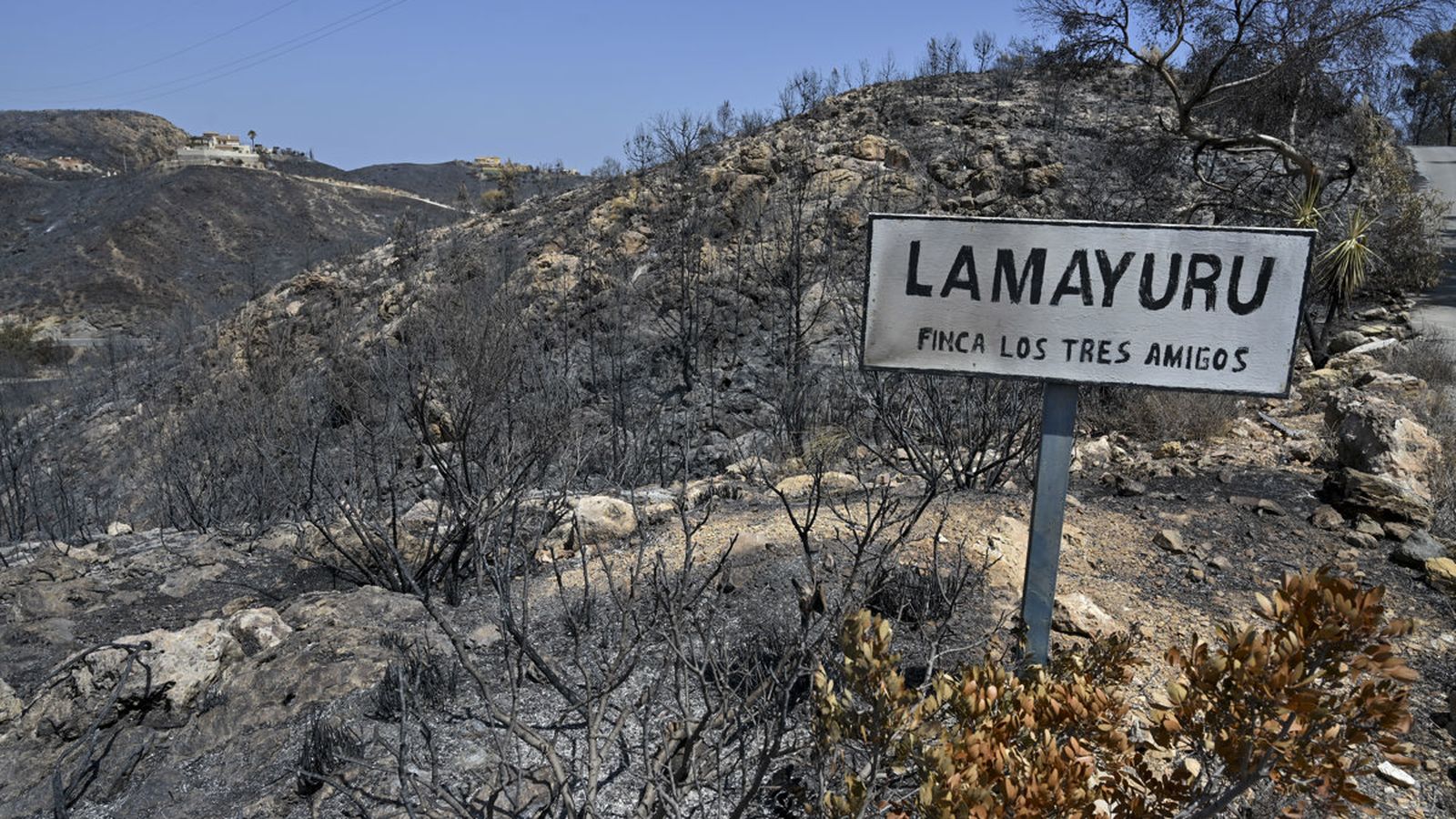 Sánchez visita este dilluns el lloc de comandament avançat de l'incendi de Los Gallardos a Almeria
